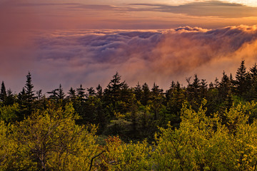 Cadillac Mountain, Acadia National Park, Maine, above the clouds