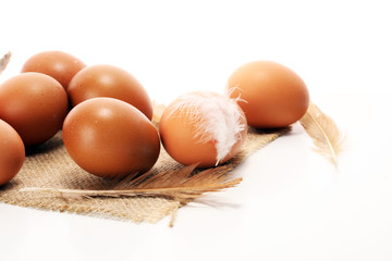 Egg. Fresh farm eggs. Easter egg with feather concept