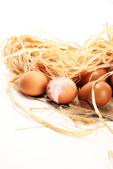 Egg. Fresh farm eggs. Easter egg with feather concept