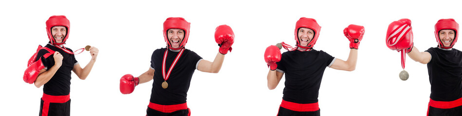 Funny boxer isolated on the white