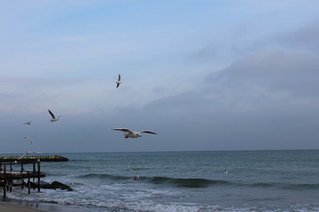 Fototapeta premium sea ​​in winter