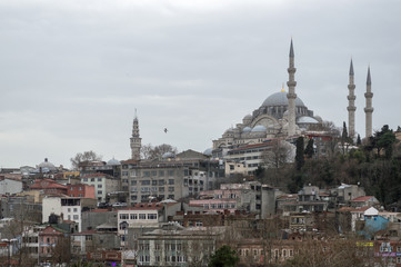 Fototapeta na wymiar View of Blue Mosque in Istanbul