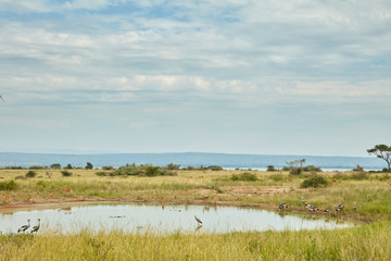 Fototapeta na wymiar Murchison Falls National Park