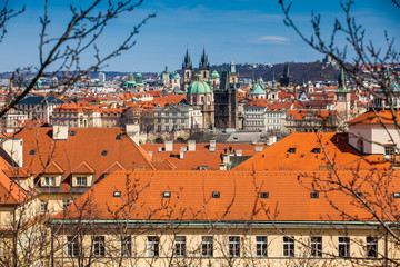 Fototapeta na wymiar Charles bridge and Prague city old town seen from Petrin hill in a beautiful early spring day