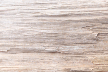 Plakat Holz Fasern als Hintergrund - Textur