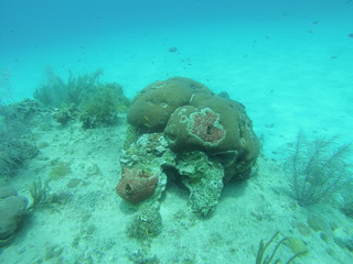 Mergulho em Providencia