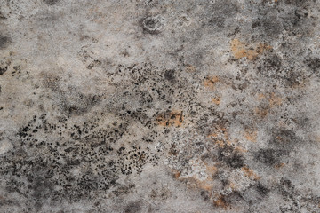 Grunge concrete wall with stains. Old wall texture. Cement texture for design, interior and background.
