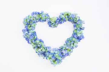 Love symbol of blue hydrangea flowers on white background. Valentines day. Flat lay, top view.