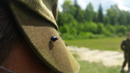 Beetle on hat