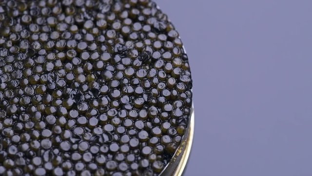 Caviar closeup. Black caviar rotated on black background. High quality natural sturgeon caviar close-up, rotation. Delicatessen. Slow motion 4K UHD video footage. 3840X2160