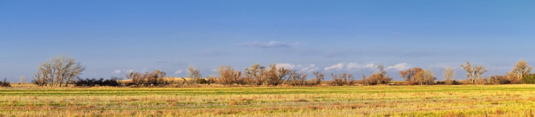 Views from the Cradleboard Trail walking path on the Carolyn Holmberg Preserve in Broomfield Colorado surrounded by Cattails, wildlife, plains and Rocky mountain landscape during fall close to winter.