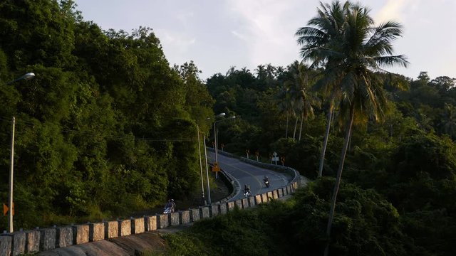 rare transport goes uphill on way, transport goes uphill in jungle, to right of road has become overgrown with dense growth and palm trees. road winds in the jungle. the road leads up to the mountain.