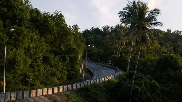 rare transport goes uphill on way, transport goes uphill in jungle, to right of road has become overgrown with dense growth and palm trees. road winds in the jungle. the road leads up to the mountain.