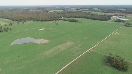 DCIM\100MEDIA\DJI_0216.JPG