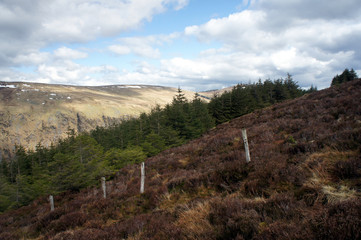 Spring in the Wicklow Mountains.Ireland.