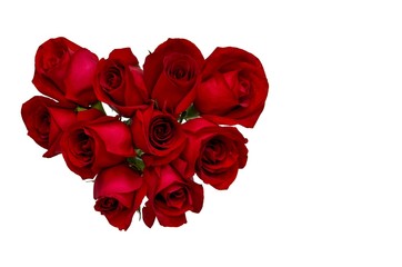 Fresh bloom love shape of red roses which the couple like to give each other for Valentine’s Day in 14 February of every year isolated on white background with space for text. 