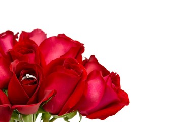 Fresh bloom red roses that have silver ring with diamond for Valentine’s Day in 14 February of every year isolated on white background with space for text. 