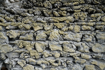 Native-built coral wall in Kamadhoo, Maldives