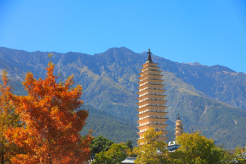 Autumn Scenery in Chongsheng Temple in Dali, Yunnan Province, China