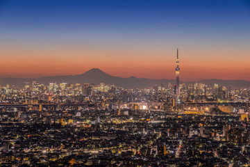Fototapeta na wymiar Mt. Fuji and Tokyo city view in evening