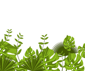 background tropical leaves plastic pink