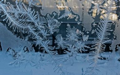 winter fairy forest, frosty patterns on the window glass