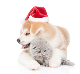 Akita inu puppy in red christmas hat hugging baby kitten. isolated on white background