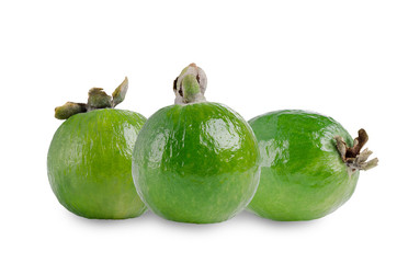 Tropical fruit feijoa