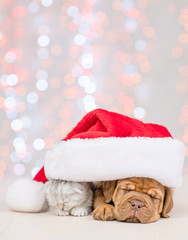 Puppy and baby kitten sleeping together under santa hat. Christmas holidays background