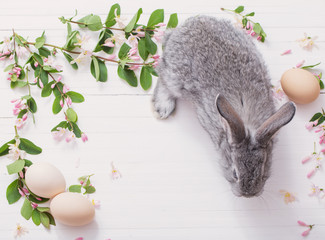 rabbit with flowers on white wooden background