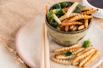 Food Insects: Bamboo worm (Bamboo Caterpillar) insect fried crispy for eating as food items on dish with chopsticks and sauce on sackcloth, it is good source of protein edible for future food concept.