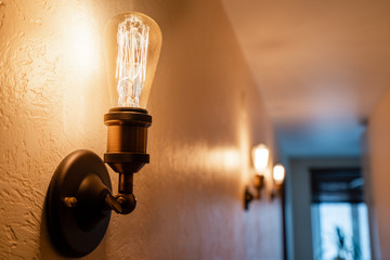 Vintage style light bulbs. glass round bulbs with a spiral on wall.
