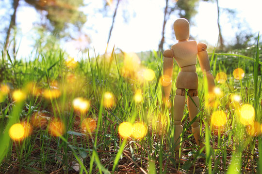 concept of vision and different thinking. wooden dummy standing in the green tall grass looking forward.