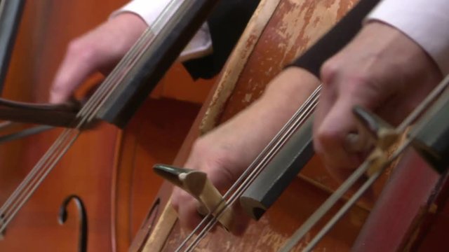 Symphony orchestra cello plays . Close up