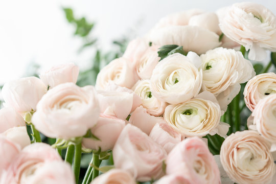 Fototapeta Persian buttercup in glass vases. Bunch pale pink ranunculus flowers light background. Wallpaper. Winter season flowers