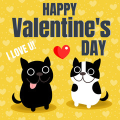 Cute couple French bulldog in Valentine background.