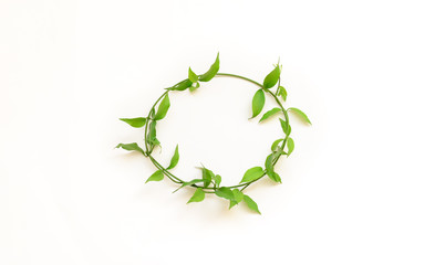 Green leaf photo frame concept