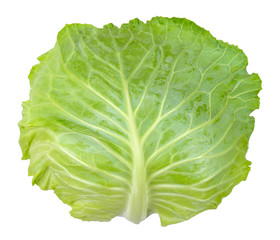 Fototapeta premium Cabbage isolated on white clipping path