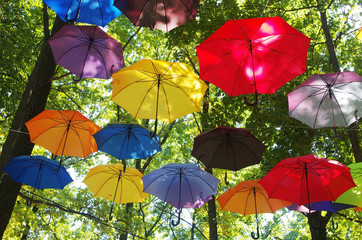 Multicolored umbrellas are suspended from treetops. Festive decoration