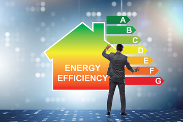 Businessman in energy efficiency concept