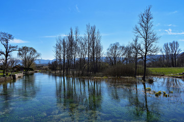 The quiet lake in the spring. Concept of cultural and ecological tourism. High water after a rain. Fantastically beautiful forests are reflected in the green water - Image