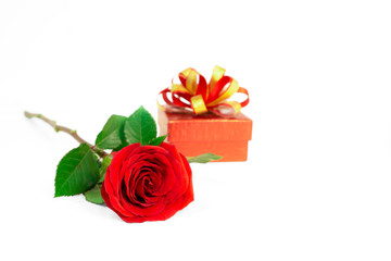 A bunch of red petals of Rose with green leaves and a red gift box with golden ribbon, a symbol for valentines day, isolated on white background, di cut with clipping path