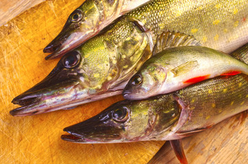 Fish on the kitchen board. Pike, perch