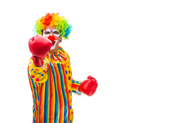 Male clown isolated on white 