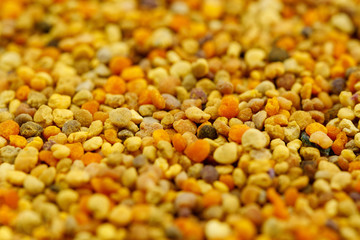 The texture of bee pollen. Bright pollen. Bee product.