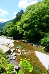 日本の清流、初夏の大芦川。鹿沼　栃木　日本。６月初旬。