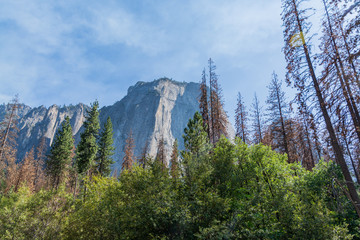 Yosemite US National Park