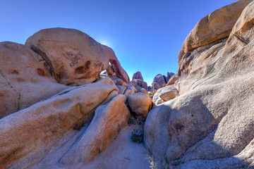 Arch Rock - Joshua Tree National Park