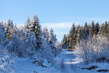 Winter Landschaft