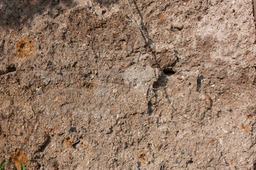 Texture of old weathered clay plaster.